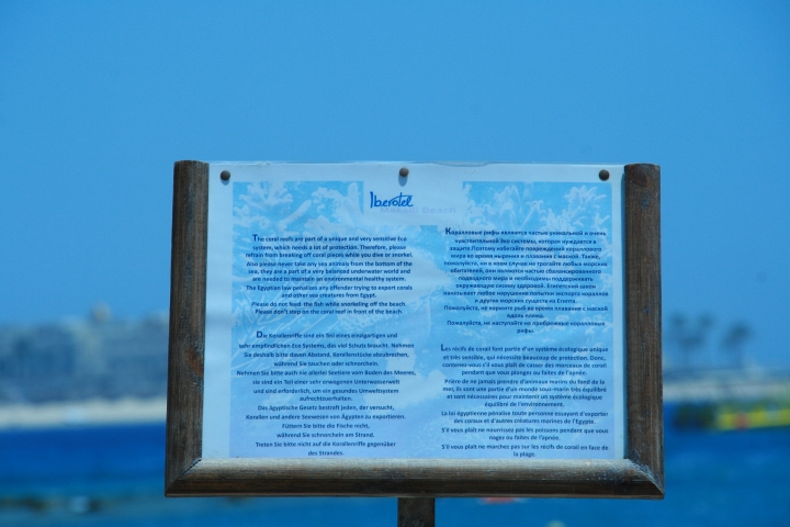 Vakantie Egypte 2010-285.jpg